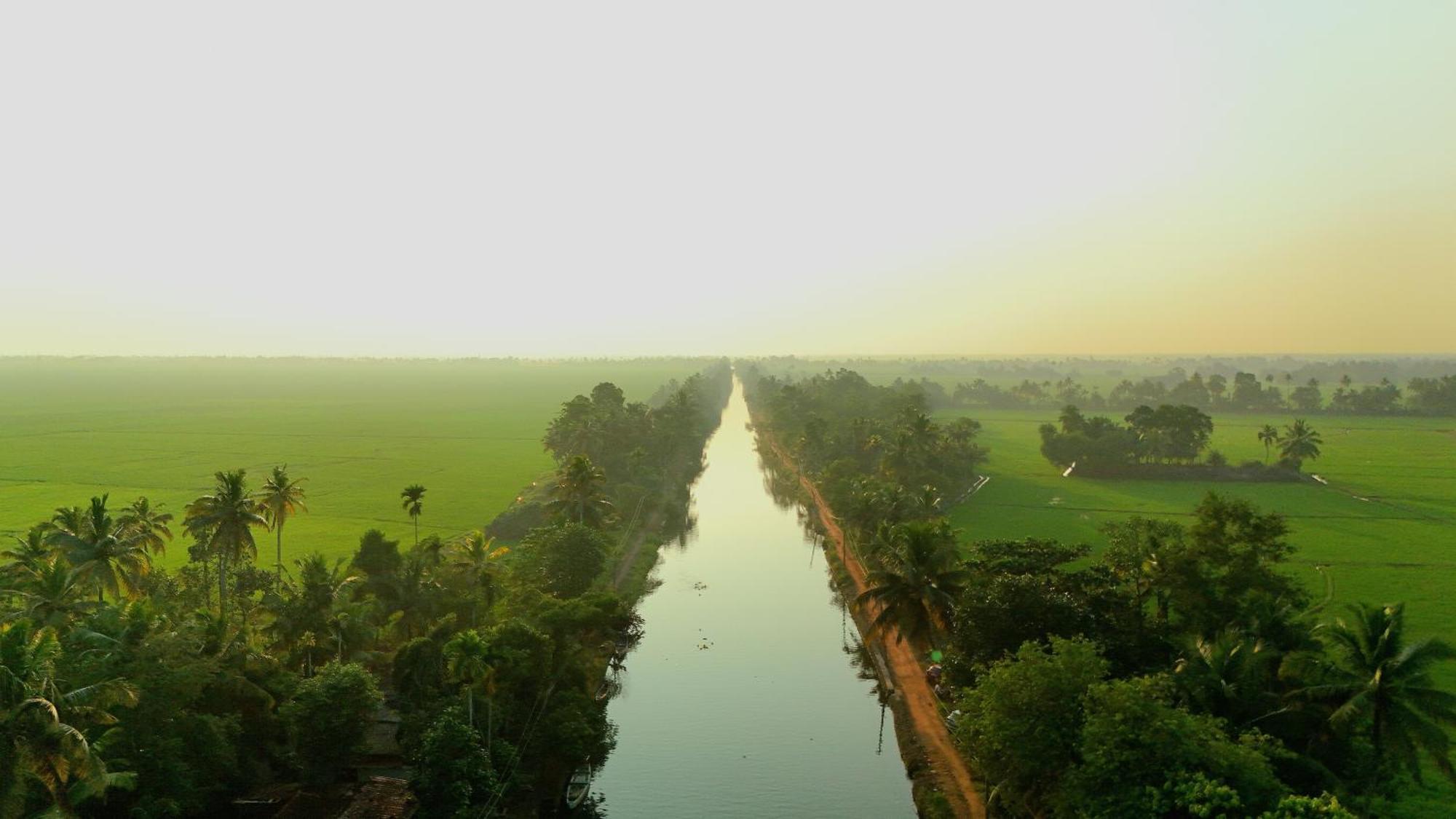 קומרקום Paadam By The Backwaters מראה חיצוני תמונה