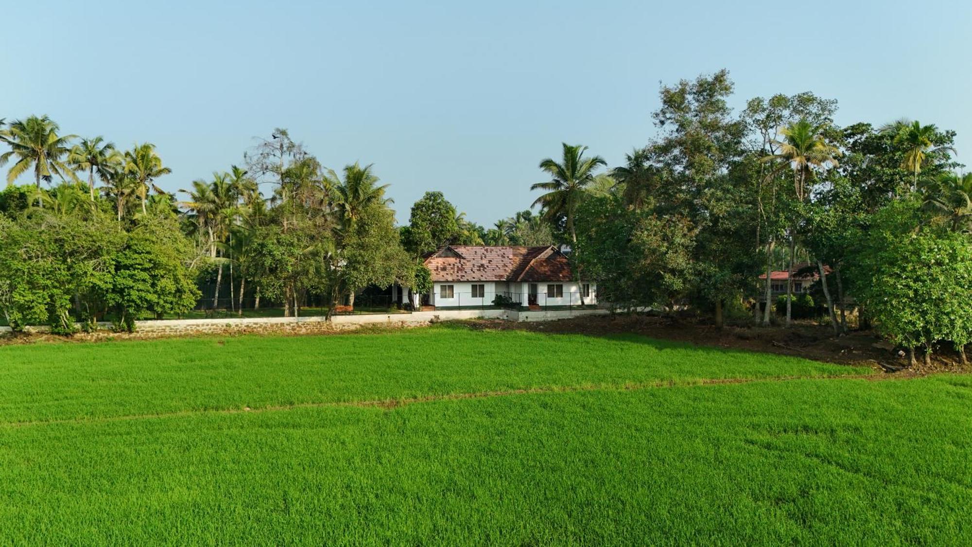 קומרקום Paadam By The Backwaters מראה חיצוני תמונה